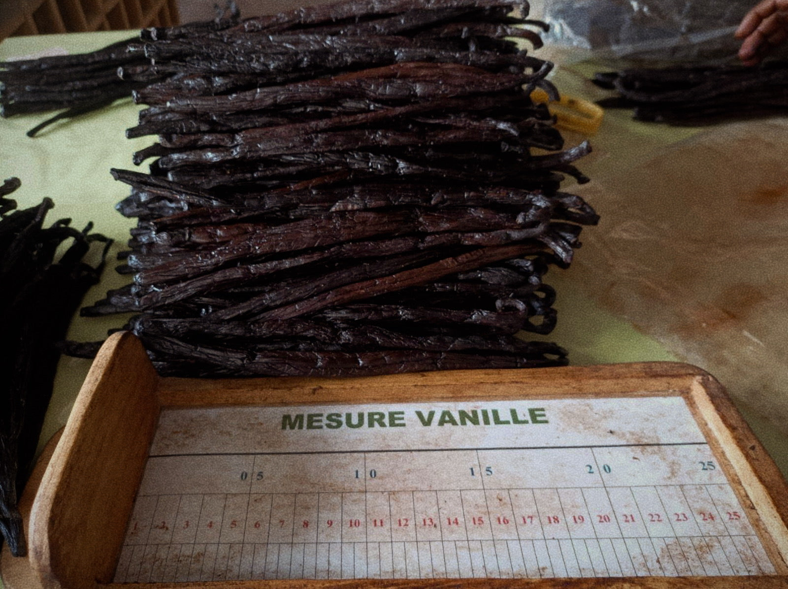 Our Story – 1829Vanilla